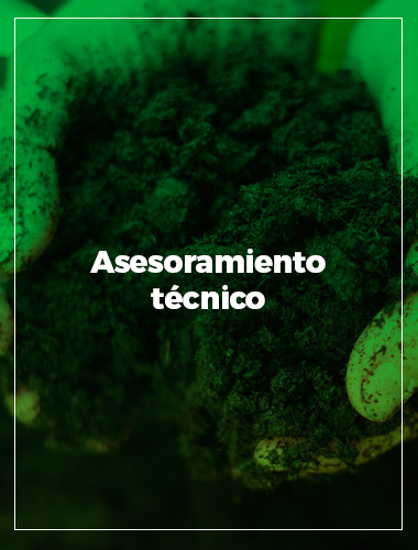 Asesoramiento técnico de jardinería