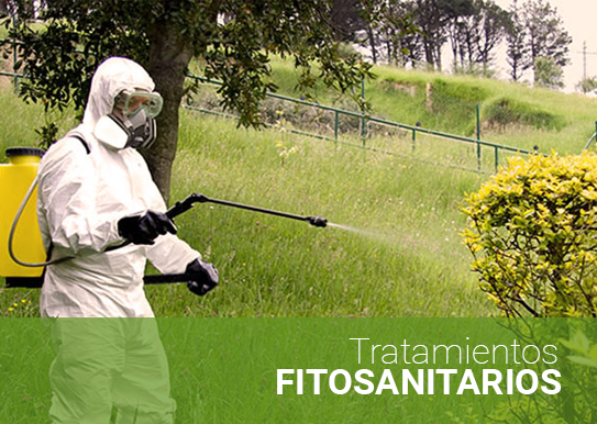 foto tala de arbones