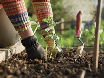 foto servicio mantenimiento jardines