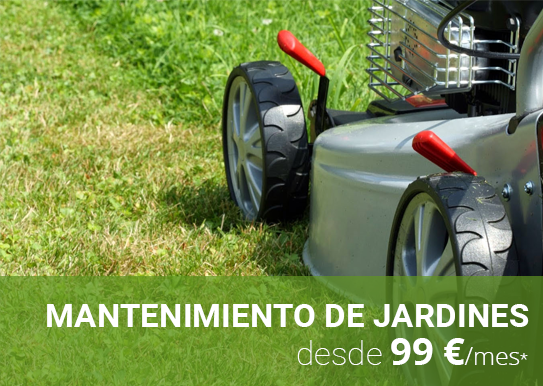 foto mantenimiento jardines