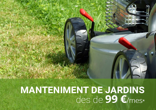 foto mantenimiento jardines