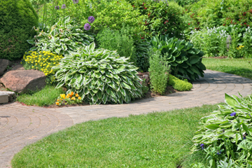 mantenimiento jardines