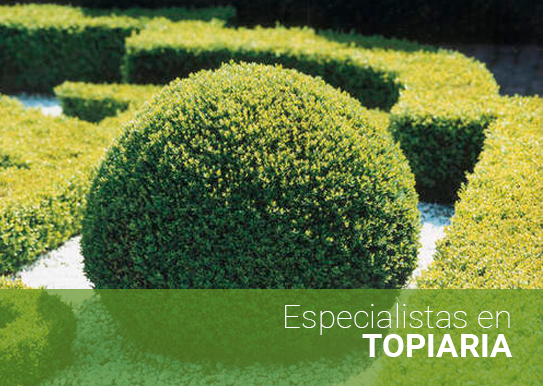 foto topiaria