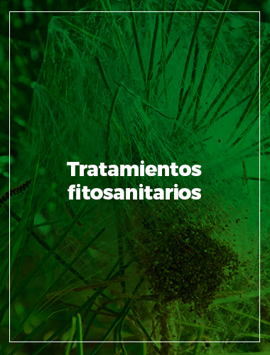 Tratamientos fitosanitarios en Reus